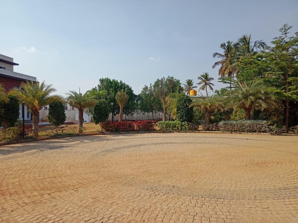 Saiven Mulberry Groves site photograph 1