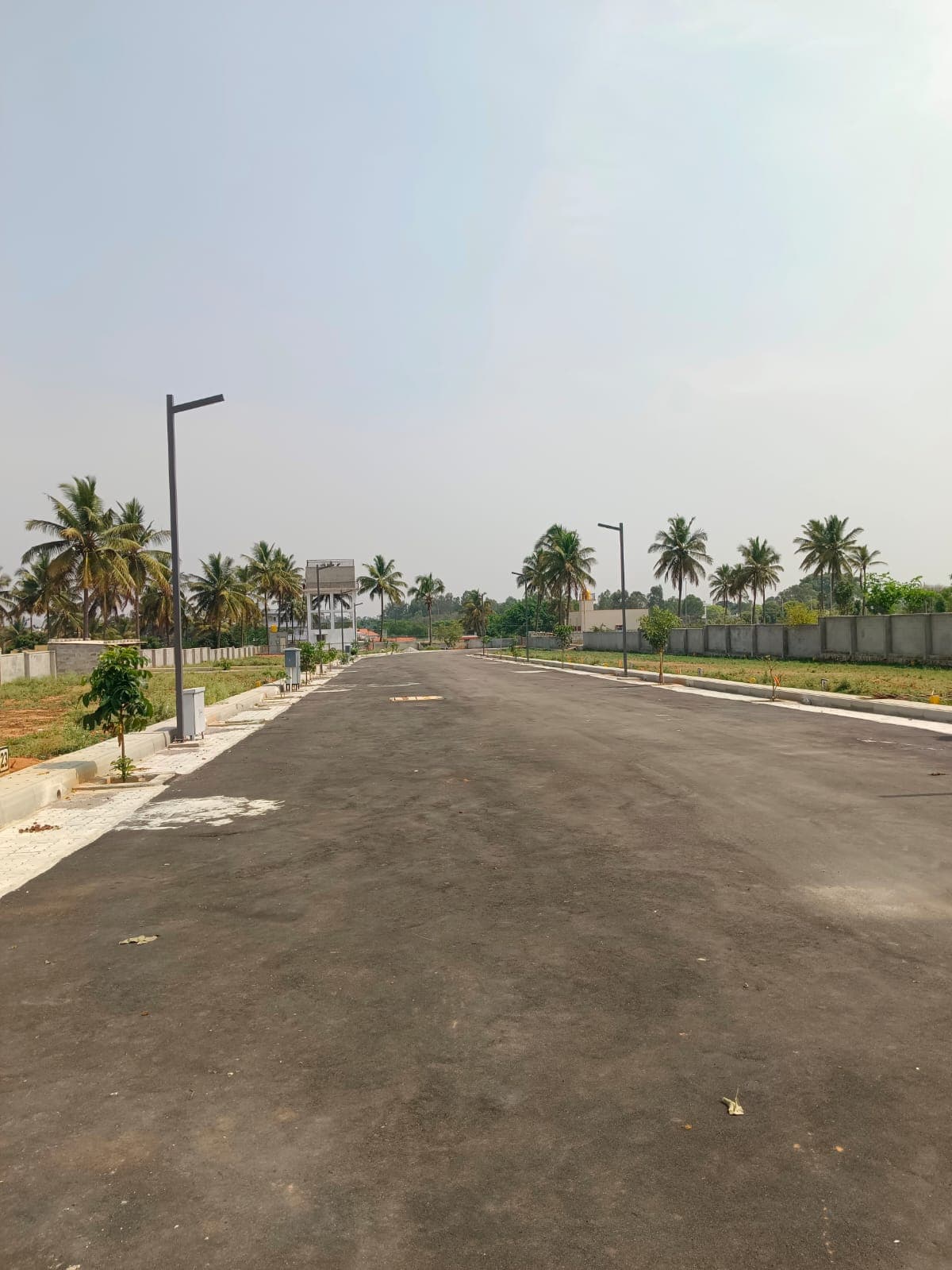 Elite Rose Phase 3 site photograph 1