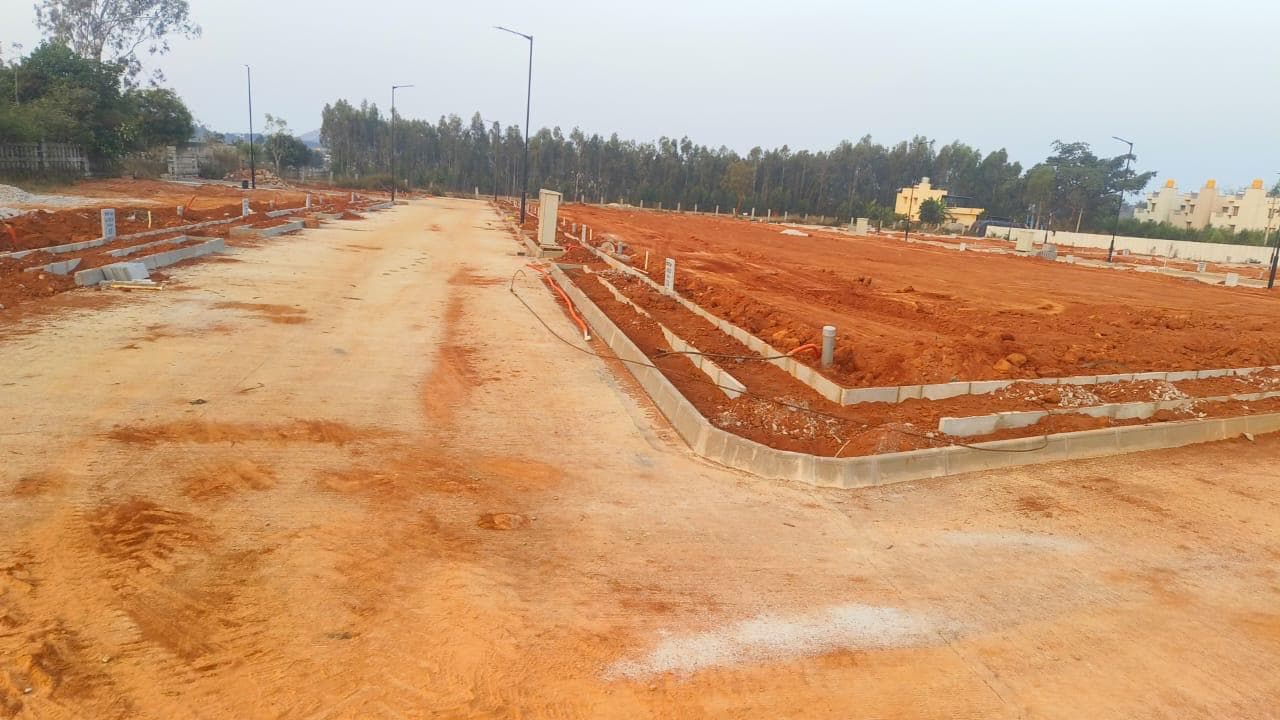 Aurum Valley site photograph 1
