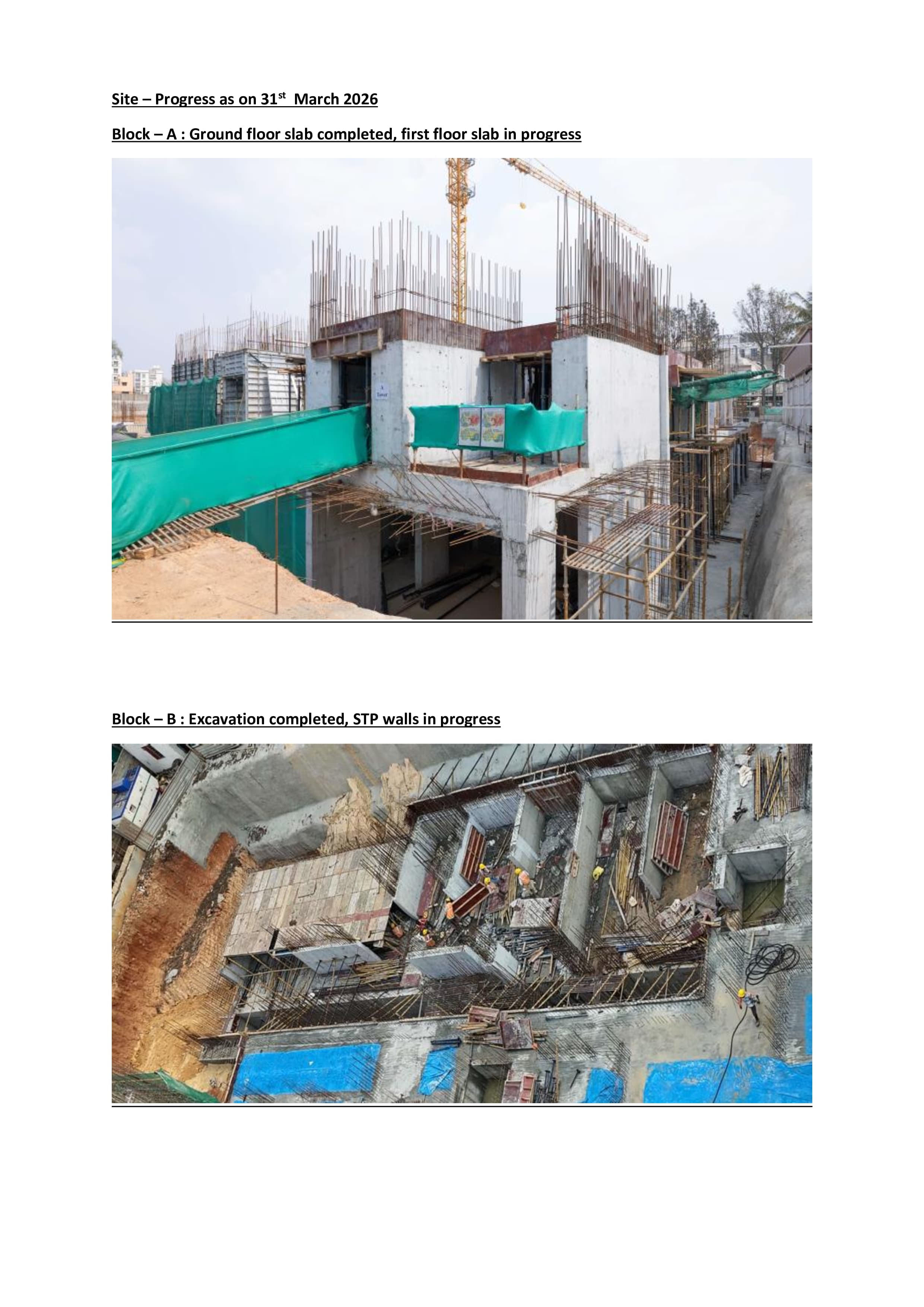 Tvs Emerald Auralis site photograph 1