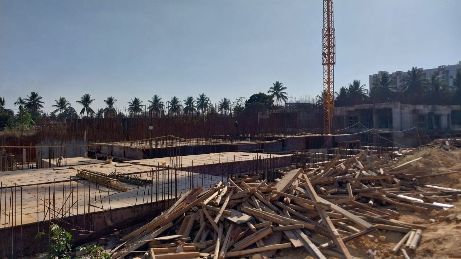 Amogaya Adorit site photograph 1